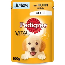 PEDIGREE Junior mit Huhn und Reis in Gelee 24 x 100 g