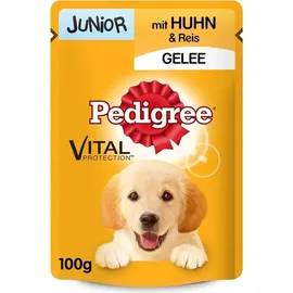 PEDIGREE Junior mit Huhn und Reis in Gelee 24 x 100 g