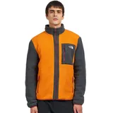 The North Face Yumiori Full Zip Herren Agate ORANGE / ASPHALT GREY L