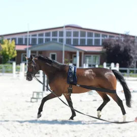 EQuest Körper Bandage Trainingshilfsmittel L Schwarz