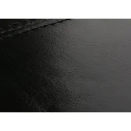 berlinlodge Aufbewahrungs-Truhe Sitzbank Lars HxBxT 45x112x45cm Schwarz Leder + Kunstleder