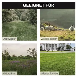 SCHEPPACH HMP161-56B 4,1 PS