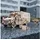 EWA Eco-Wood-Art 3D Puzzle Krankenwagen EWA Holz 386 Teile