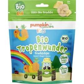 pumpkin organics Bio Tropenwunder Fruchtchips