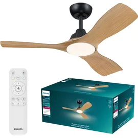 Philips Olas 106 cm 30 W Schwarz/Braun