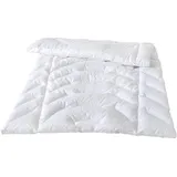 Traumina Exclusive Body Daune Duo-Einziehdecke WK4