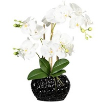 Creativ-green Kunstblume Orchidee, Phalaenopsis, weiß, in Keramik-Topf, Höhe 55 cm