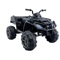 Wisam® Elektro Quad BDM 0909 Schwarz (24V)
