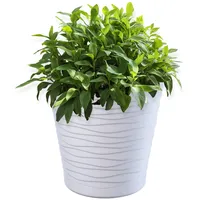 Kadax Blumentopf mit Untersetzer, aus Kunststoff, rund, 15 cm,