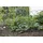 Floraworld Maschendrahtzaun 10 m x 40 cm Moosgrün