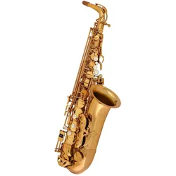Keilwerth ST-110 Altsaxophon - Altsaxophon