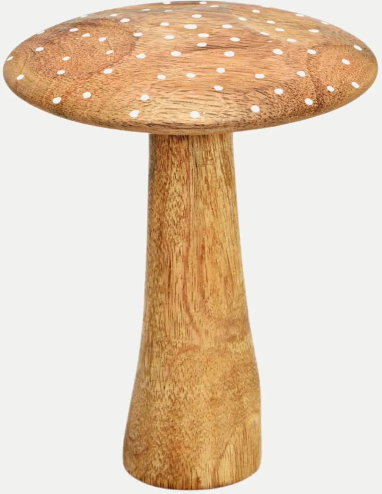 Pilz 12x16x12 Braun