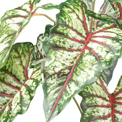 CREATIV green Künstliche Pflanze Syngonium 66cm im Topf