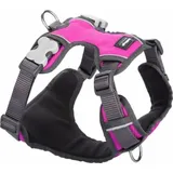 Red Dingo Acolchado Hundegeschirr Fuchsia S