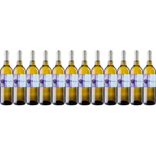 12x Bacchus, 2023 - Wein & Secco Köth, Rheinhessen! Wein
