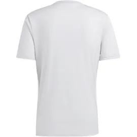 adidas Tabela 23 Fußball Trikot Herren IA9143 - team light grey/white 4XL