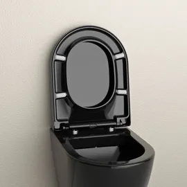 Bernstein WC-Sitz U1002 Schwarz mit LED-Beleuchtung
