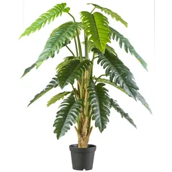 Kunstbaum CREATIV GREEN "Philodendron xanadu", grün, H:195cm, Kunststoff, Kunstpflanzen, mit großformatigem Blattwerk