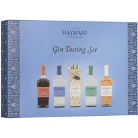 Hayman’s | Gin Tasting Set | 5x50ml | 36,28% vol | Auslese von 5 exklusiven Gin Sorten | Old Tom, Peach & Rose Cup, Cordial Gin, London Dry, Sloe Gin