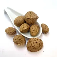 5kg Mandeln in der Schale (Süßmandeln)