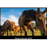 Vero Kalender Pferde Kalender 2025 Fotokalender DIN A3 von