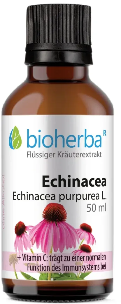 Echinacea, Echinacea purpurea L., Tropfen, Tinktur 50 ml