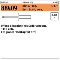 F. REYHER Nchfg. GmbH & Co. KG Blindniete R 88409 großer Flachkopf 5 x 25 250 Stück