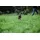 Hunter Divo Hundegeschirr Rot/Grau S-M