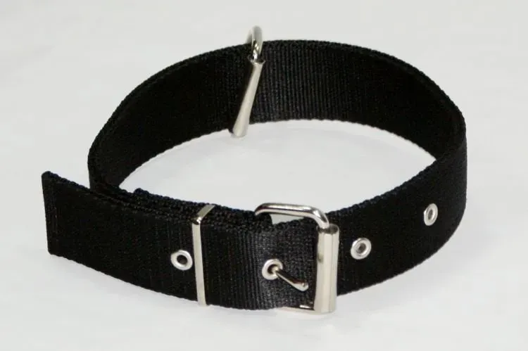 DINGO Polypropylen Gurtband-Halsband 4,0cm x 70cm, schwarz - starkes Hundehalsband (Rabatt für Stammkunden 3%)