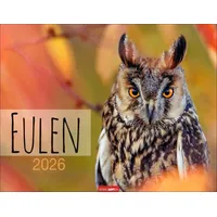 Weingarten Eulen Kalender 2026