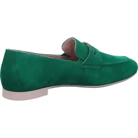 Paul Green 2954 grün 6,5