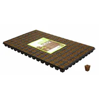 Eazy Plug 150er Tray Anzuchtwürfel
