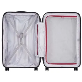 Delsey Segur 2.0 4-Rollen 79,5 cm / 109 l grey