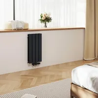 EMKE Flachheizkörper 600 x 300 mm 327 W schwarz Mittelventil