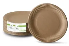 Greenbox Pappteller rund, braun Ø 23 cm  DTW06018 , 1 Karton = 5 Packungen à 100 Stück