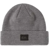 QUIKSILVER Performer grau