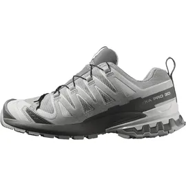 Salomon XA Pro 3D V9 GTX Damen Silber 38