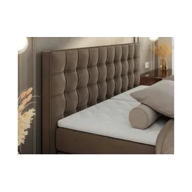 MKS Meble Boxspringbett 200 x 200 cm H4 Braun
