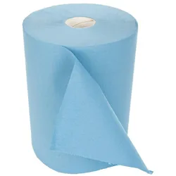 Putzpapier 2-lagig auf Rolle 1000 Blatt 22x35 cm Papiertuch