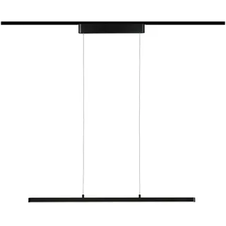 Paulmann URail Pendel Lento 1800lm 41W 2700K dimmbar 230V, Schwarz matt