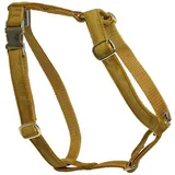 Kentucky Loop Samtgeschirr - Mustard - 52-89 cm