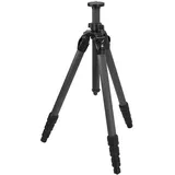 Swarovski CCT
