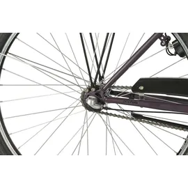 Prophete Geniesser 100 28 Zoll RH 46 cm Damen Dark Purple matt