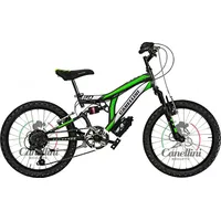 biciclette canellini Colorado 20 Zoll RH 50,8 cm Titan/Grün