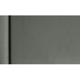 HIMOLLA Eckcouch Leder 275 cm 2-Sitzer Grau
