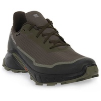 Salomon Alphacross 5 GTX (L47307500)