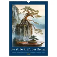 Calvendo Die stille Kraft des Bonsai (Wandkalender 2026 DIN