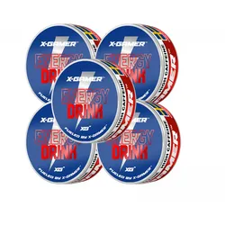 X-Gamer Pouch Energy - Energy Drink (5-Stück)