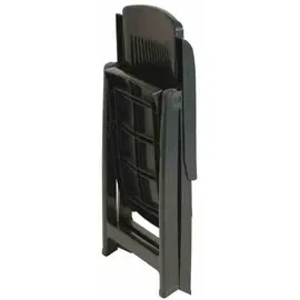 PROGARDEN Tampa Klappsessel 60 x 61 x 109 cm grün