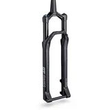 DT Swiss F 232 ONE 29 Zoll 110 mm  Schwarz